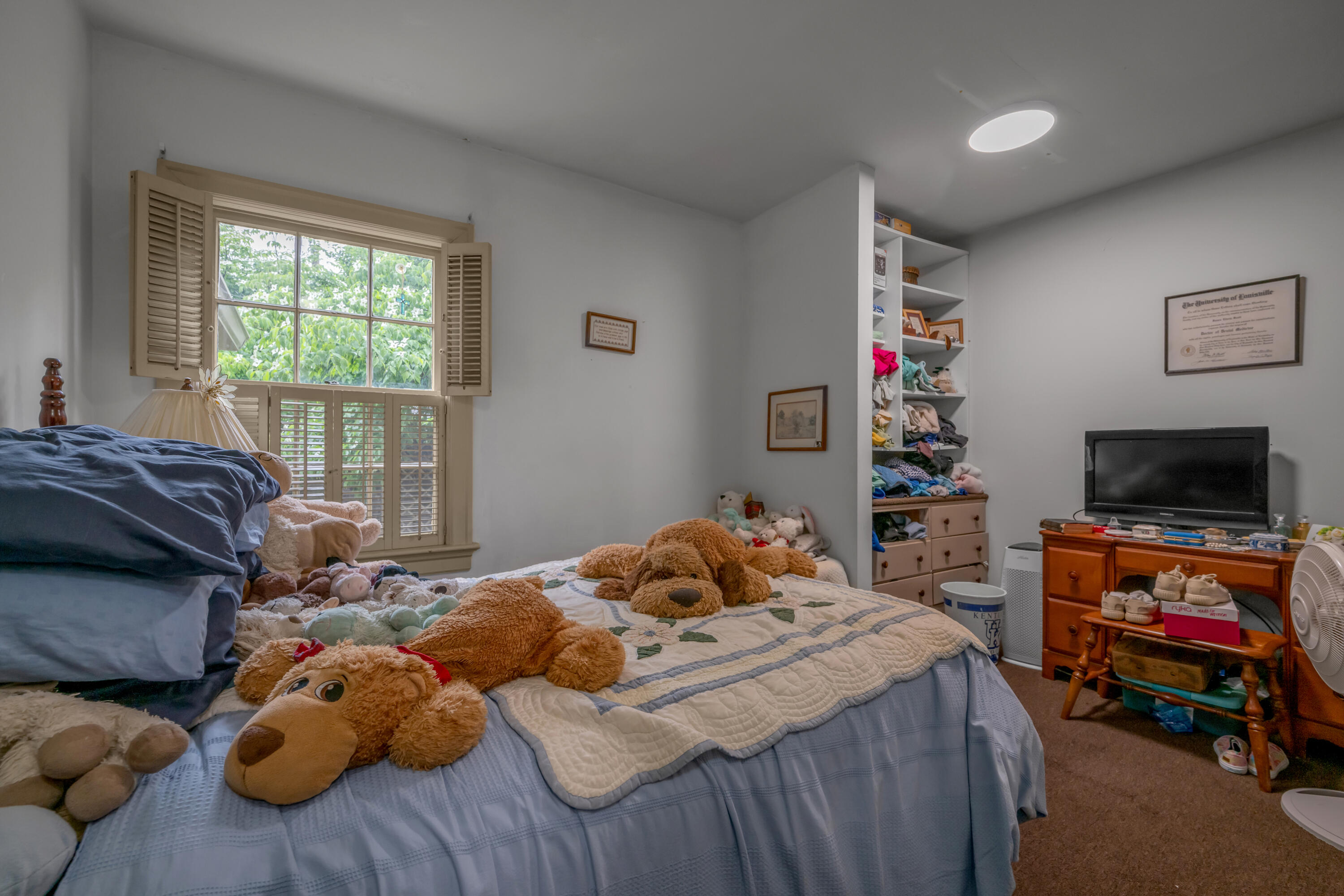 137 Sycamore Road Lexington, KY 40502 - Photo 63 of 83 TDB_3420