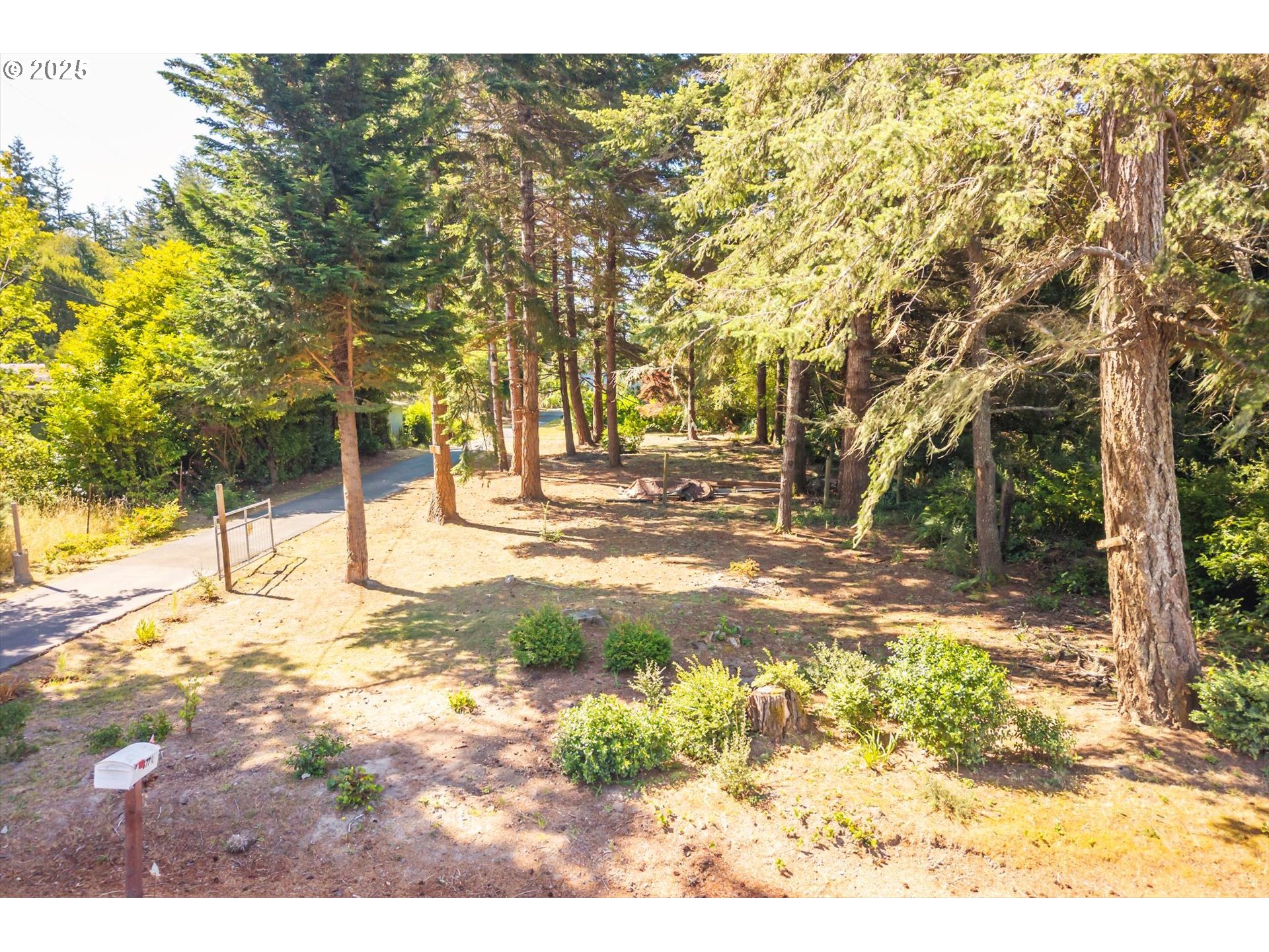 87720 Two Mile Lane Bandon, OR 97411 - Photo 27 of 35 a view of yard with trees