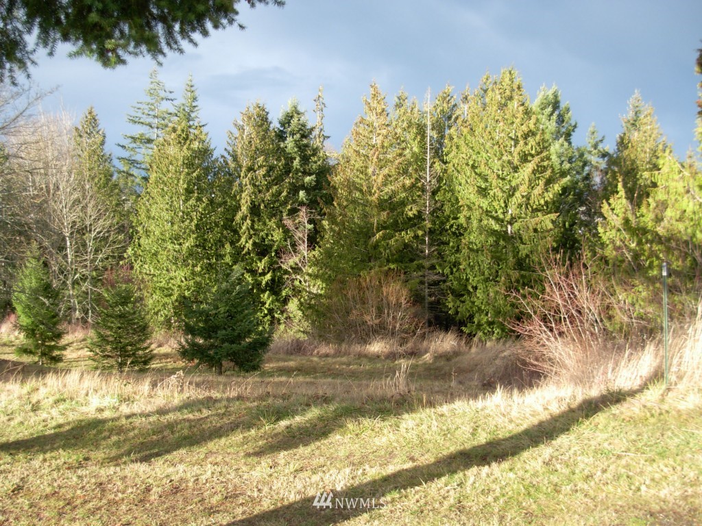 222 Fox Hollow Road Sequim, WA 98382 - Photo 1 of 1