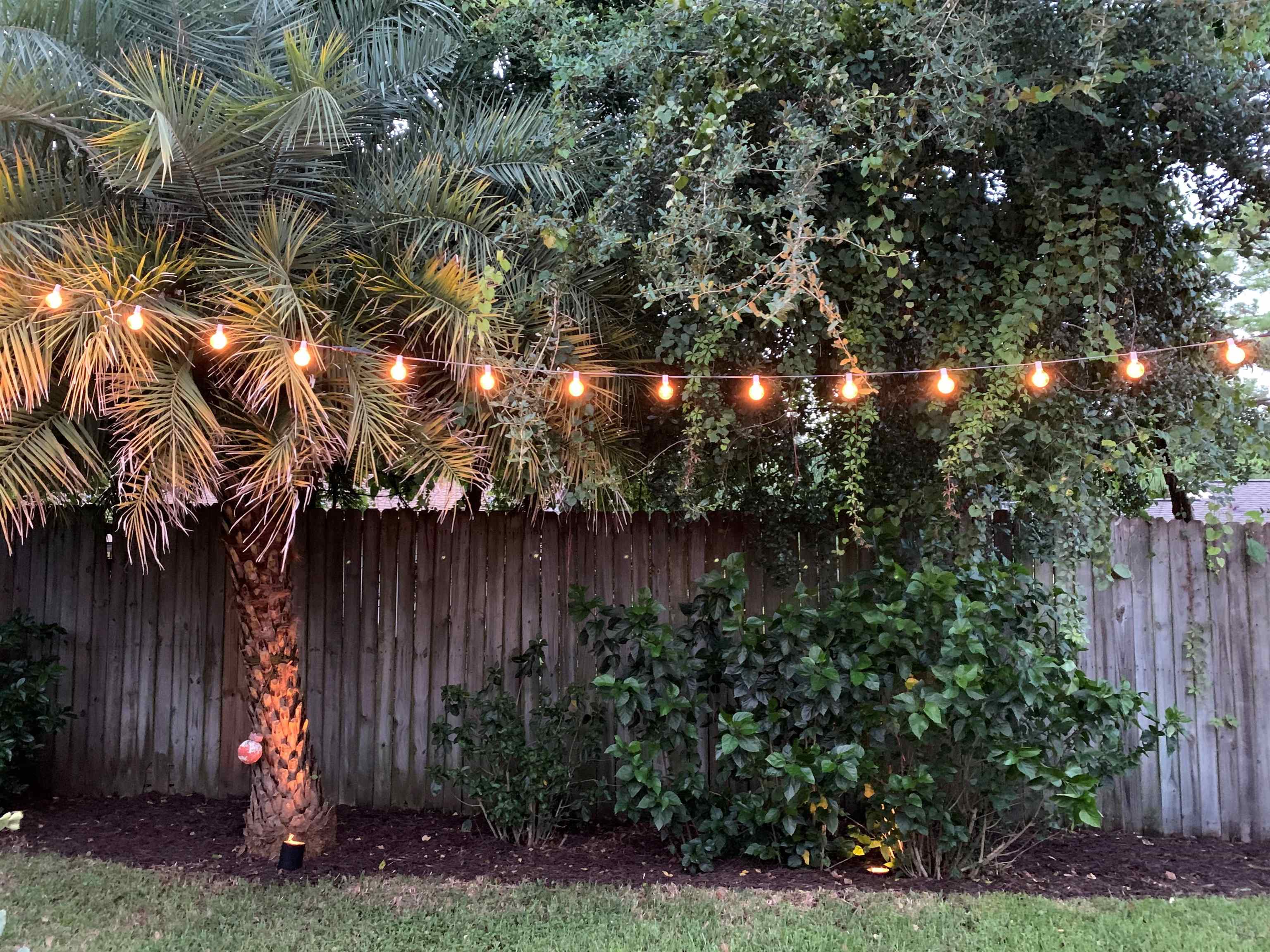 215 Yale Road St. Augustine, FL 32086 - Photo 31 of 35 a backyard of a house with lots of green space