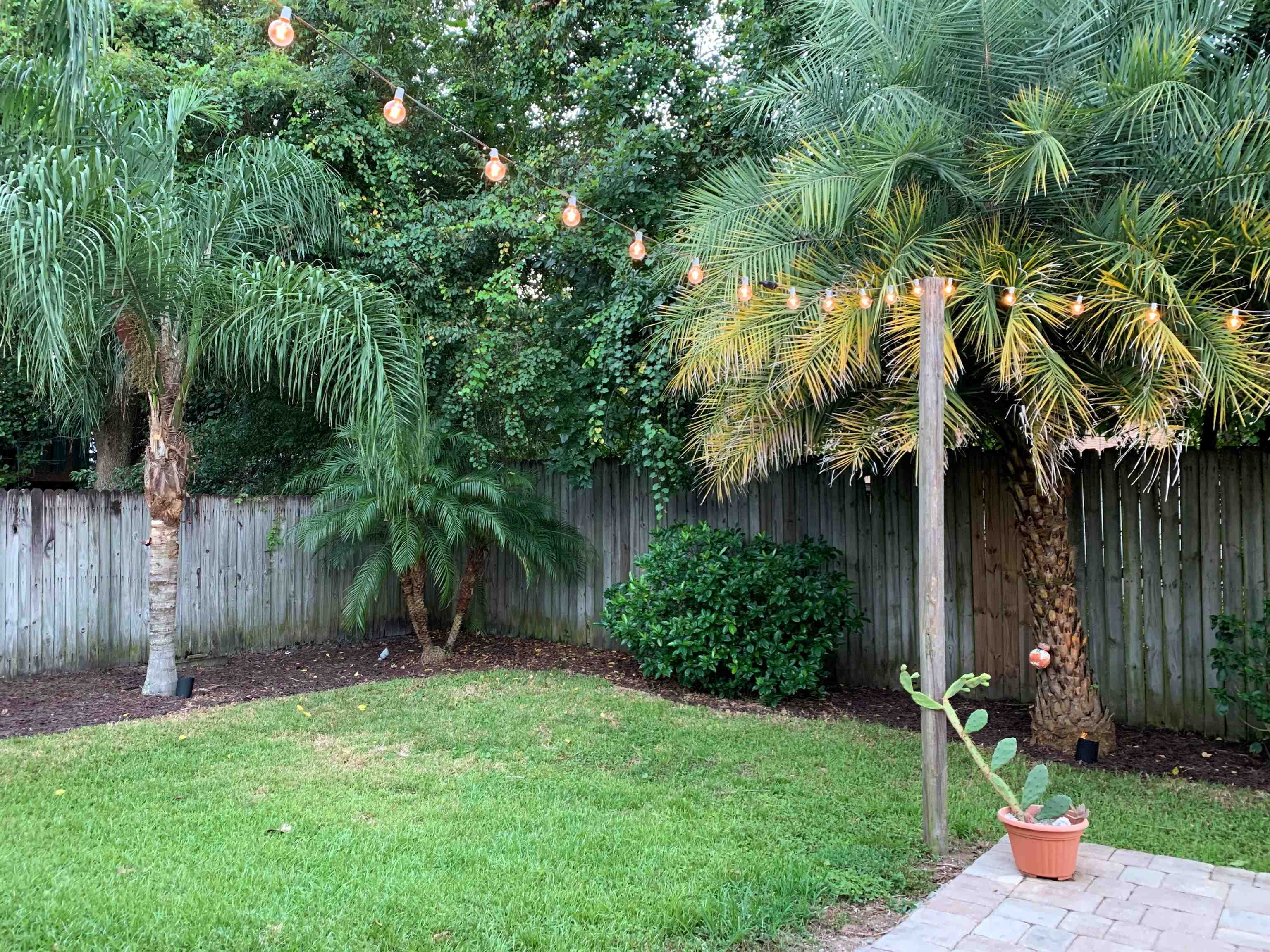 215 Yale Road St. Augustine, FL 32086 - Photo 32 of 35 a backyard of a house with lots of green space
