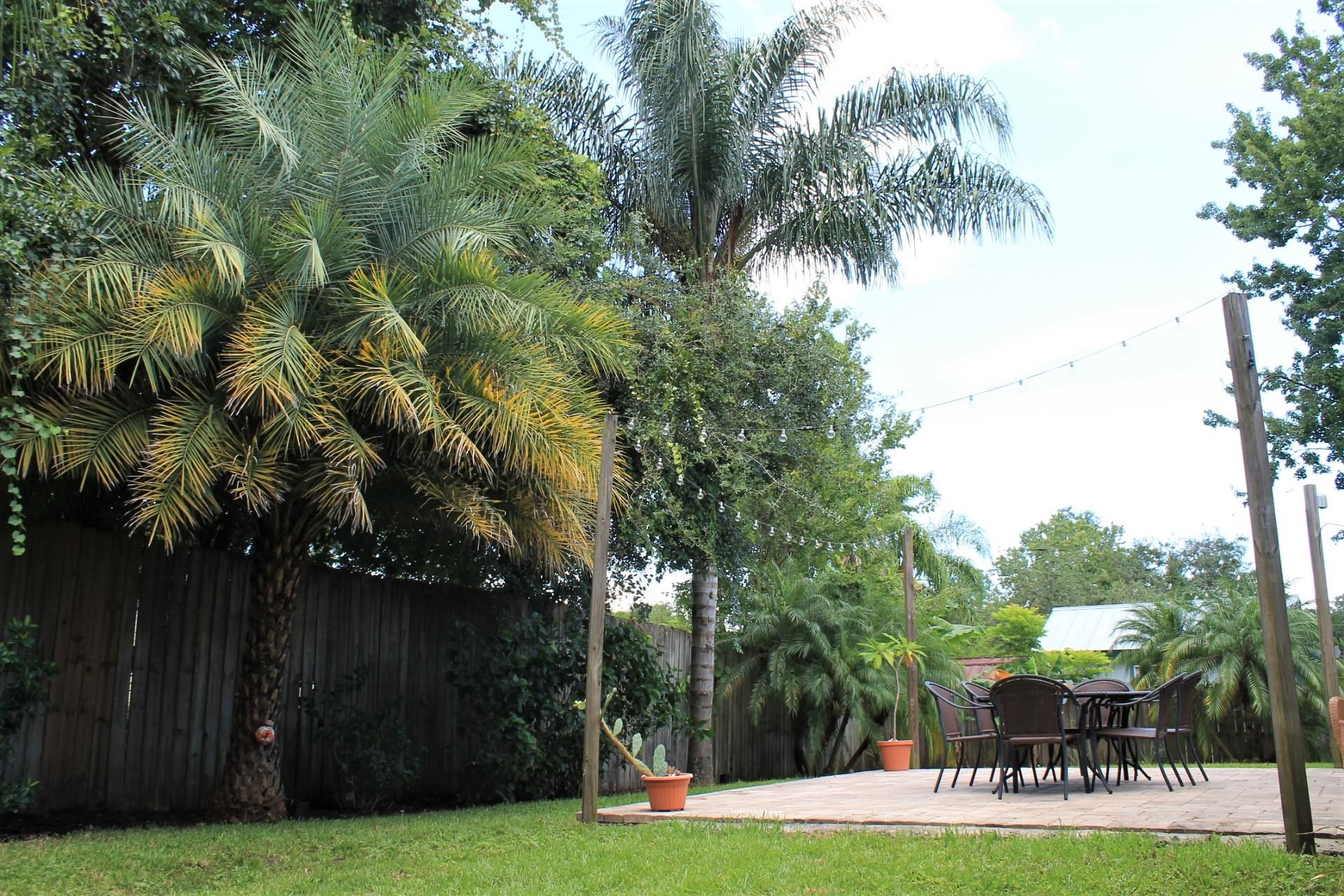215 Yale Road St. Augustine, FL 32086 - Photo 33 of 35 a view of a park with palm trees
