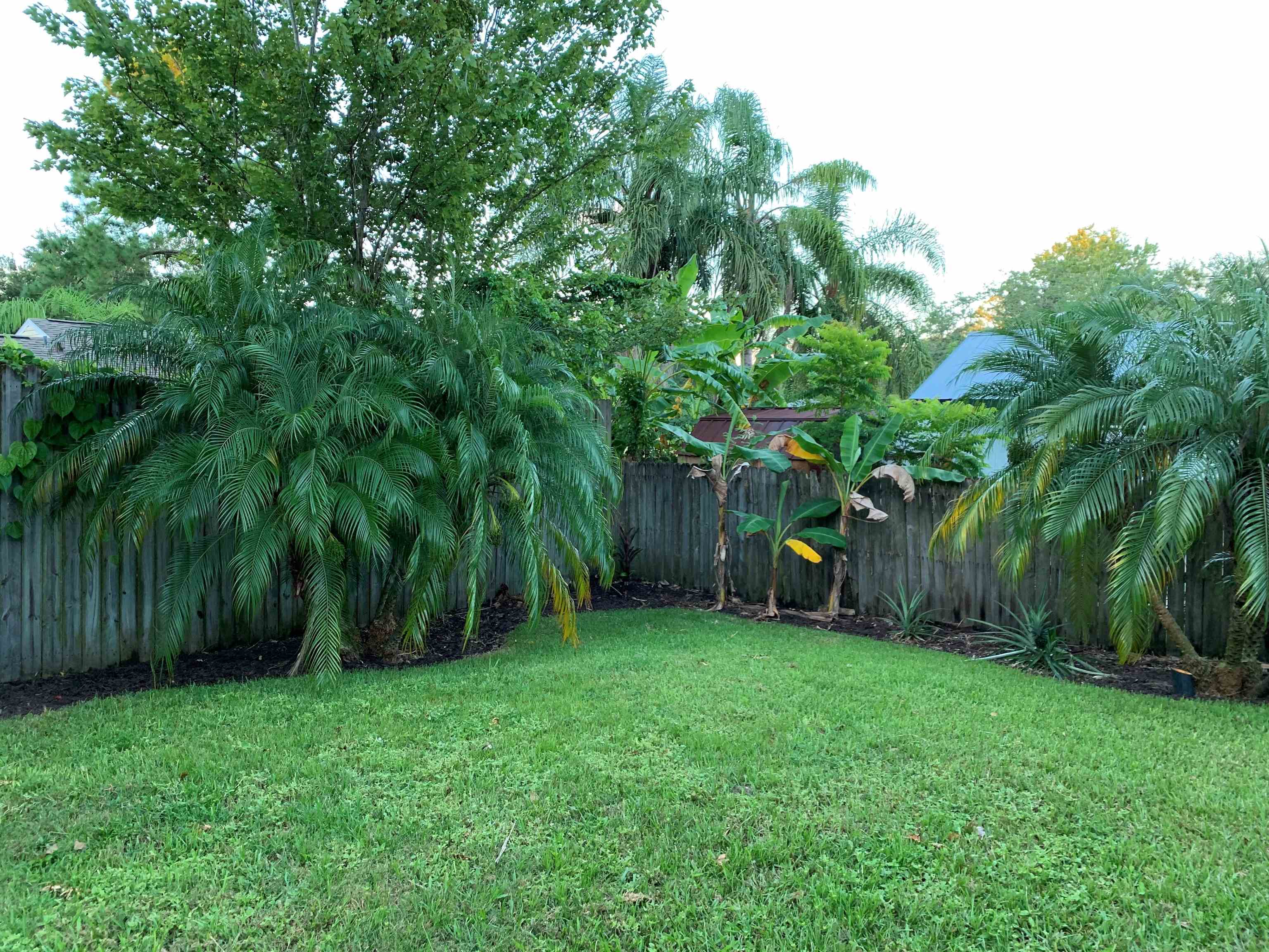 215 Yale Road St. Augustine, FL 32086 - Photo 35 of 35 a view of a backyard with a small cabin