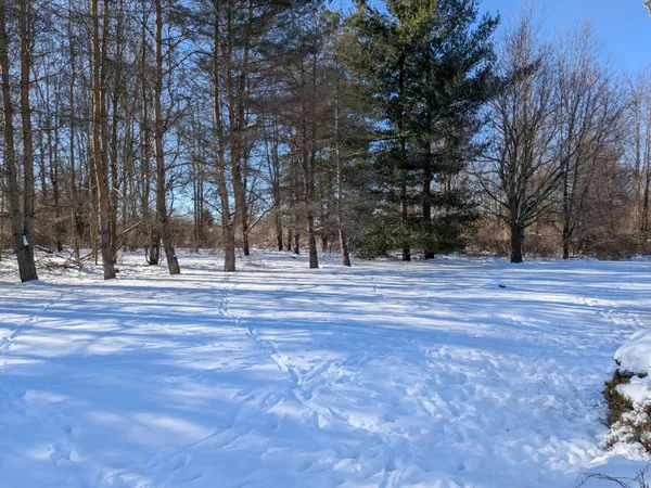 $539,900 | 4464 Fisher Estates Lane, Romeo, MI 48065