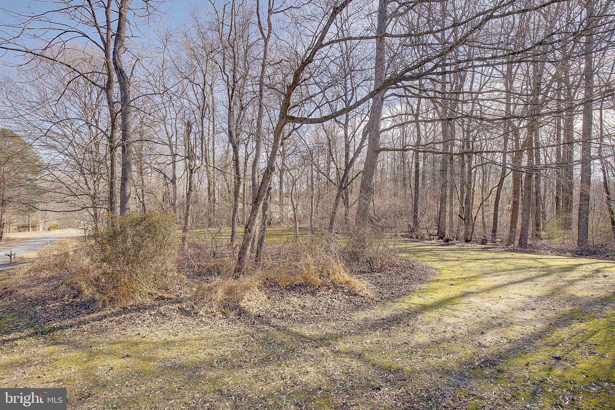 1225 Lake Ridge Drive Sunderland, MD 20689 - Photo 14 of 57 a view of a backyard with large trees