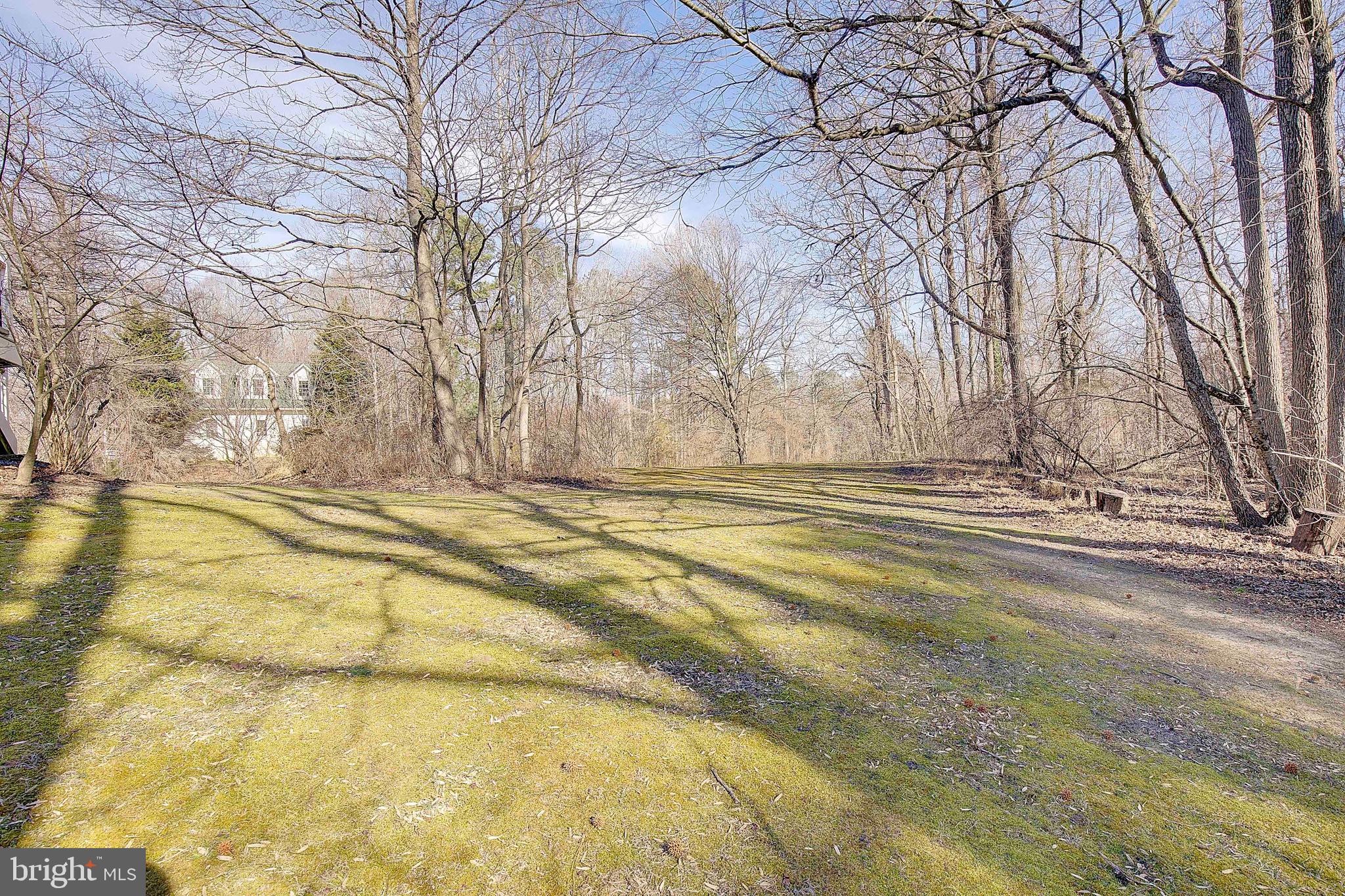 1225 Lake Ridge Drive Sunderland, MD 20689 - Photo 15 of 57 a view of yard with large trees