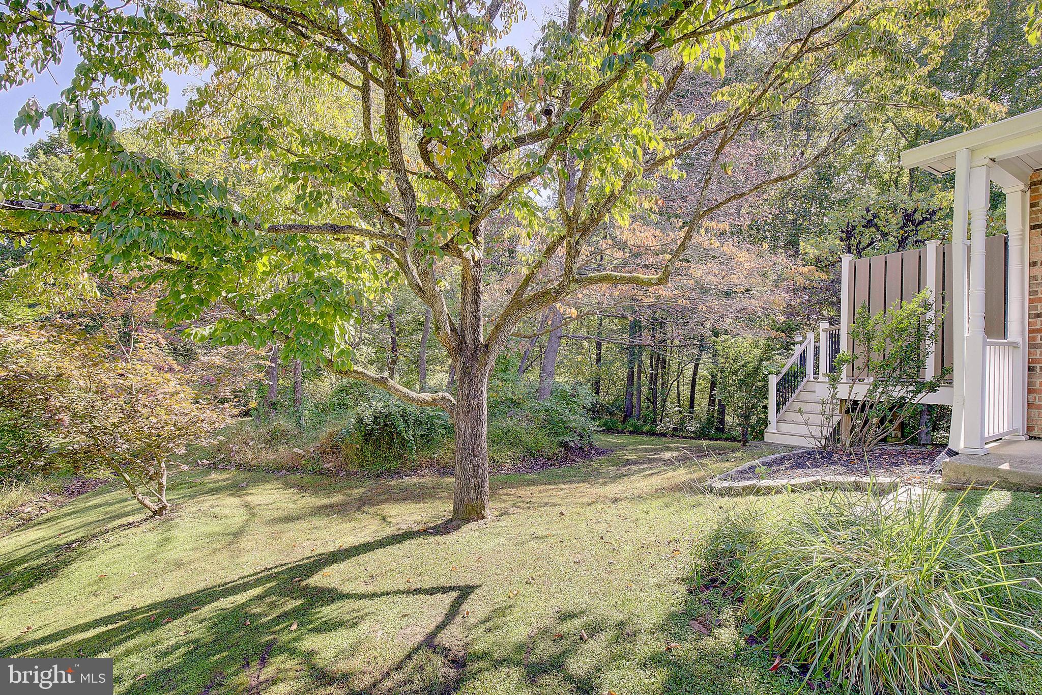 1225 Lake Ridge Drive Sunderland, MD 20689 - Photo 21 of 57 a view of a yard with plants and trees