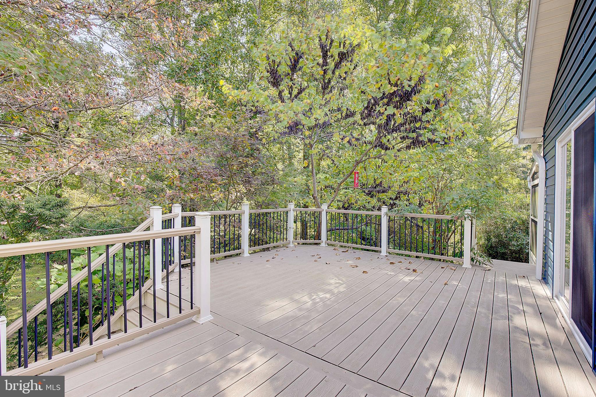 1225 Lake Ridge Drive Sunderland, MD 20689 - Photo 23 of 57 a view of a deck with wooden floor and fence with a large window