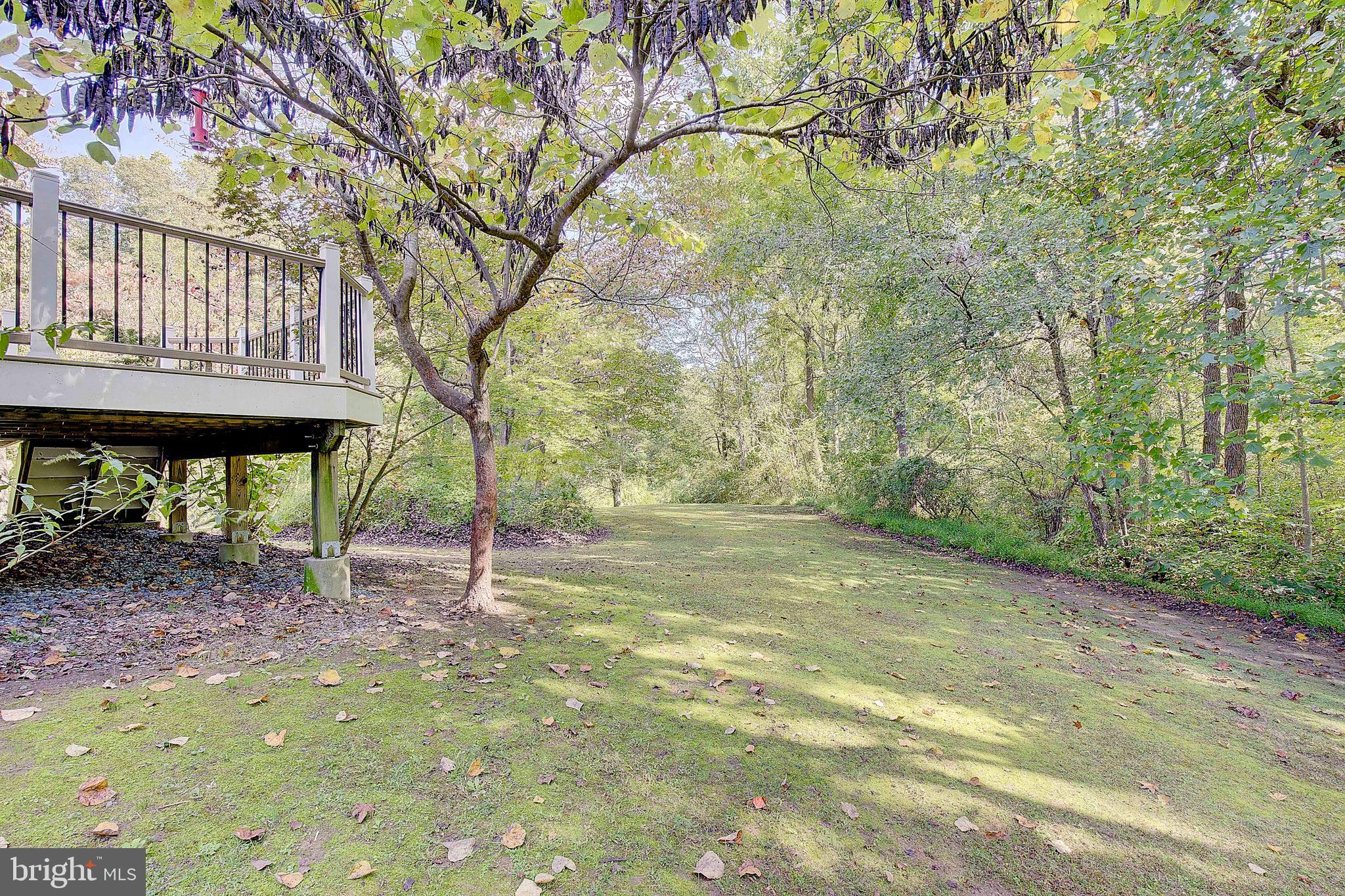 1225 Lake Ridge Drive Sunderland, MD 20689 - Photo 26 of 57 a view of a backyard with large trees and wooden fence