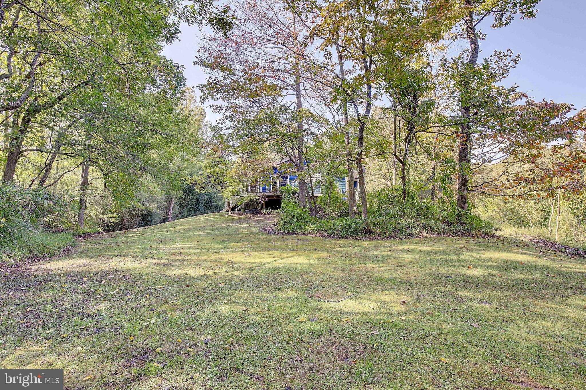 1225 Lake Ridge Drive Sunderland, MD 20689 - Photo 28 of 57 a view of a field with trees in the background