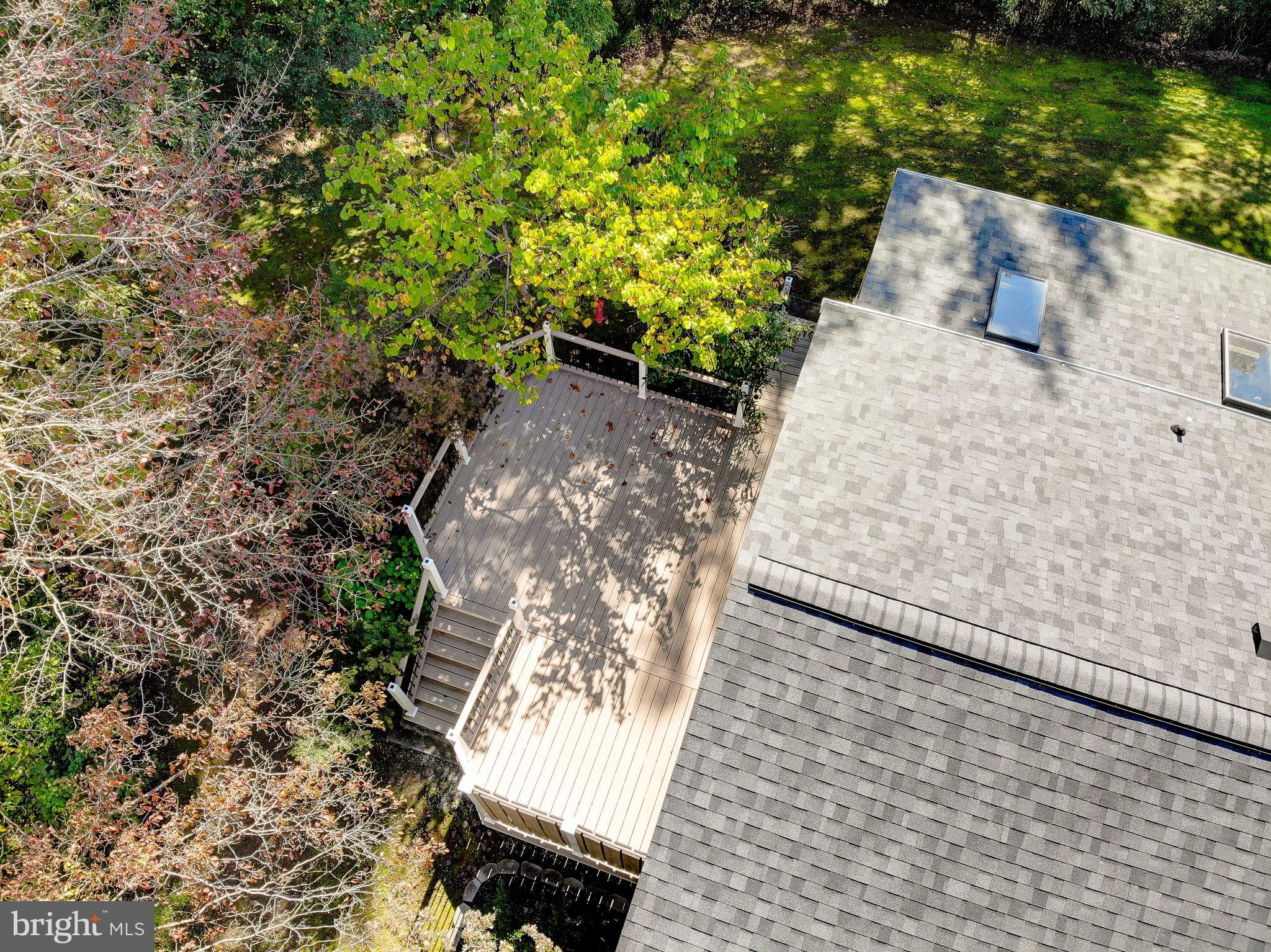 1225 Lake Ridge Drive Sunderland, MD 20689 - Photo 51 of 57 a view of a yard with plants