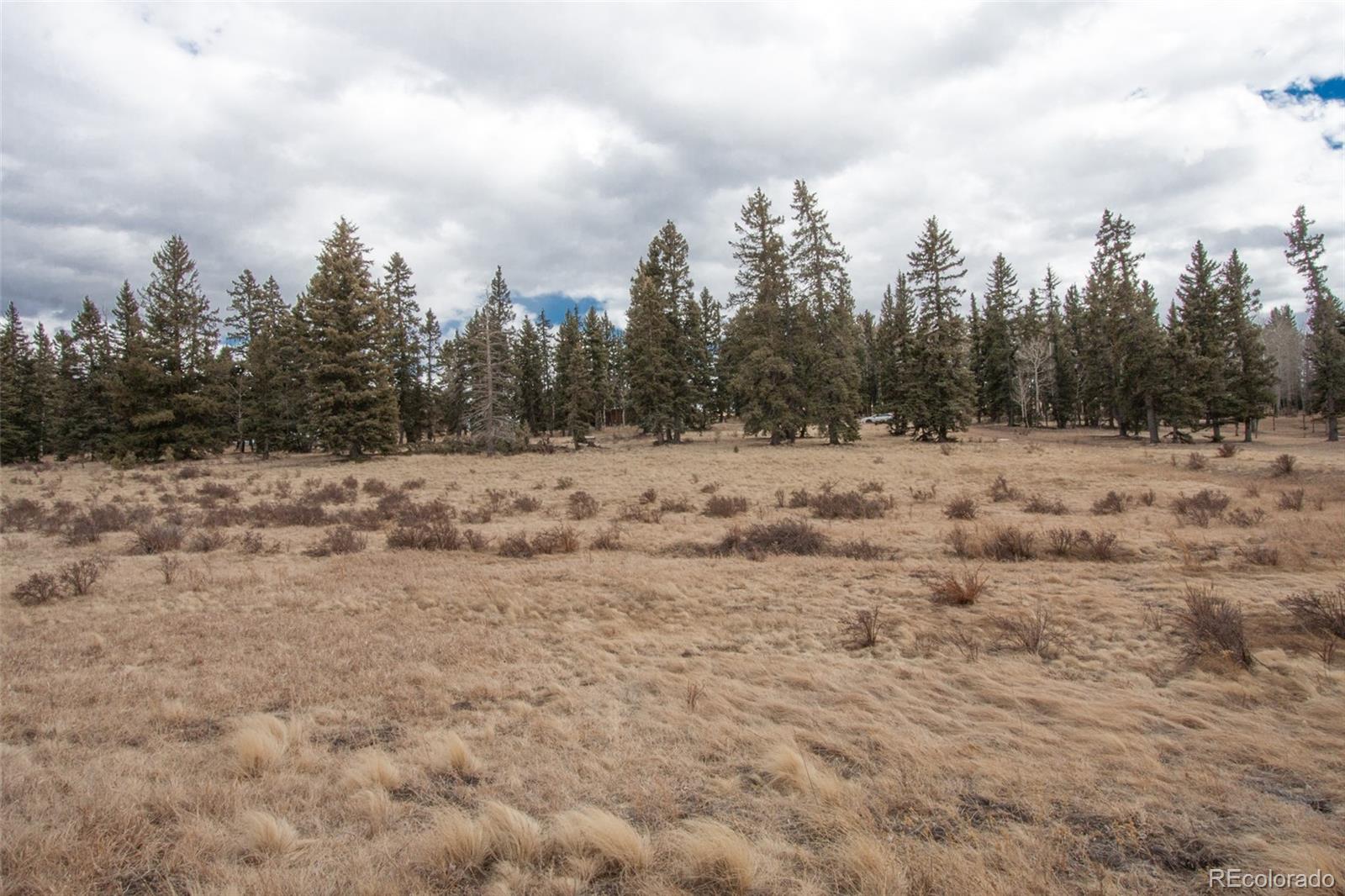 197 Joshua Road Divide, CO 80814 - Photo 4 of 9 Gallery Image 4