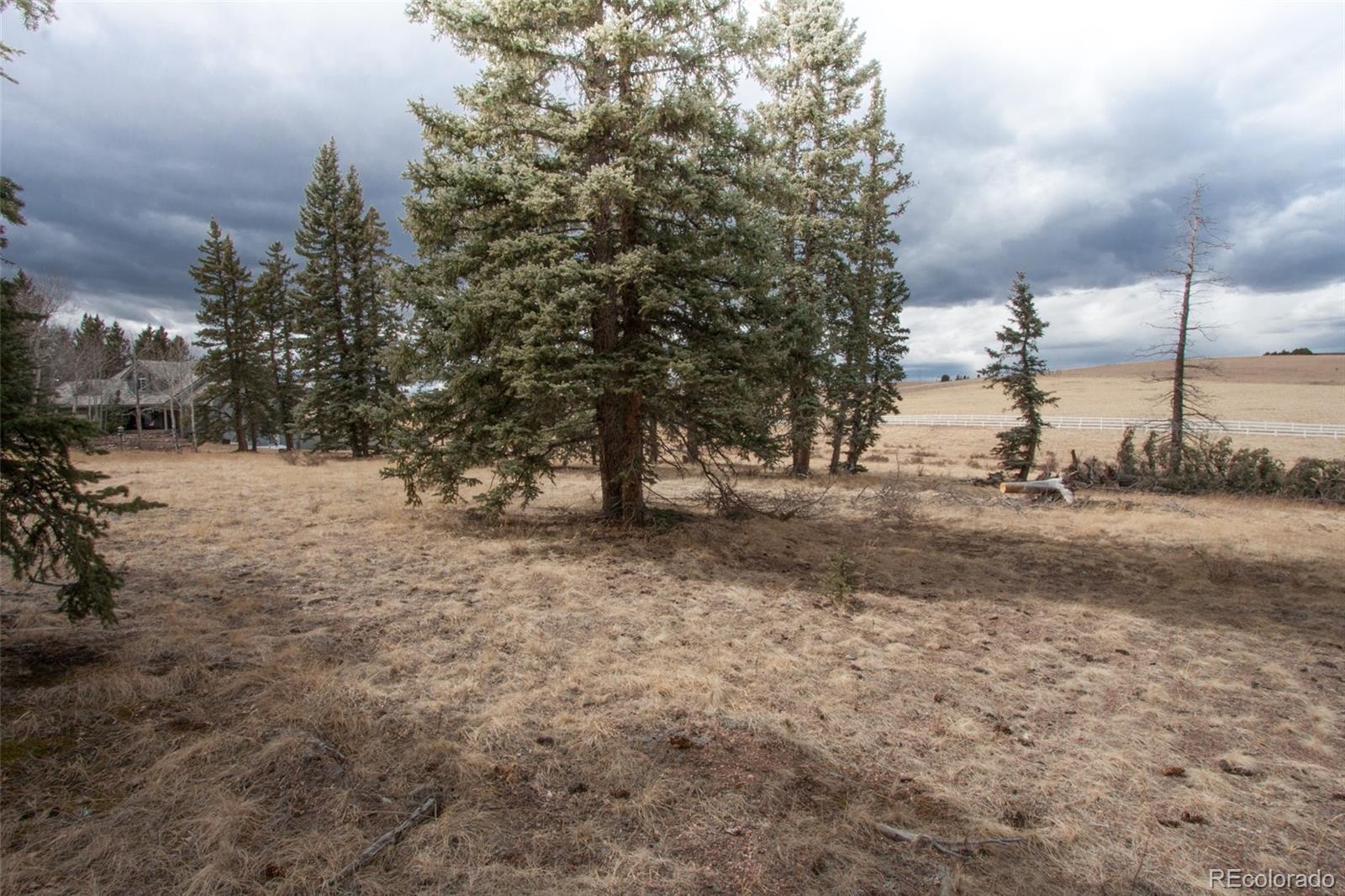 197 Joshua Road Divide, CO 80814 - Photo 7 of 9 Gallery Image 7