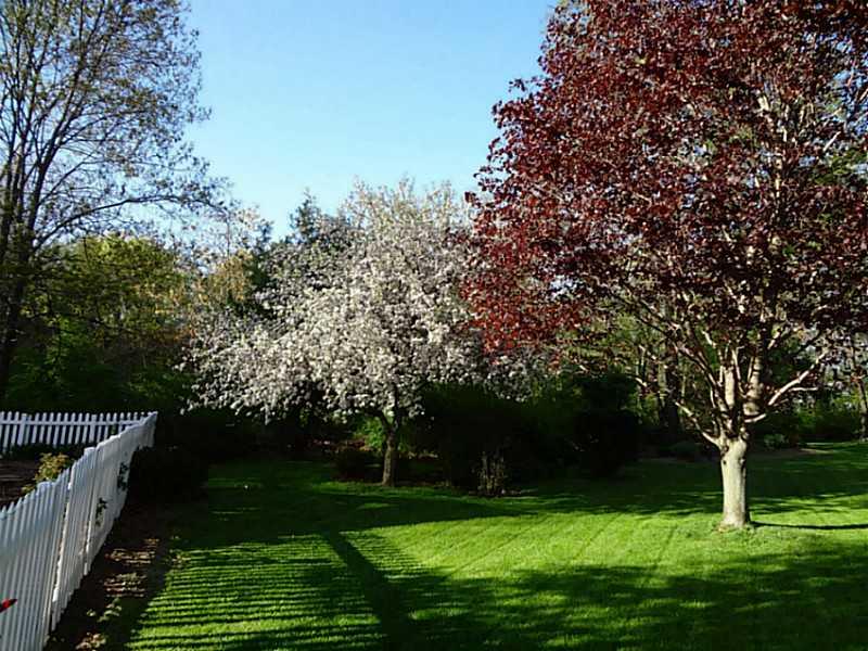 132 Valley Road Indiana, PA 15701 - Photo 11 of 12 Yard/Garden.