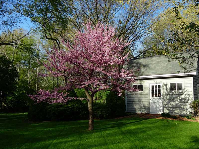 132 Valley Road Indiana, PA 15701 - Photo 10 of 12 Yard/Garden.