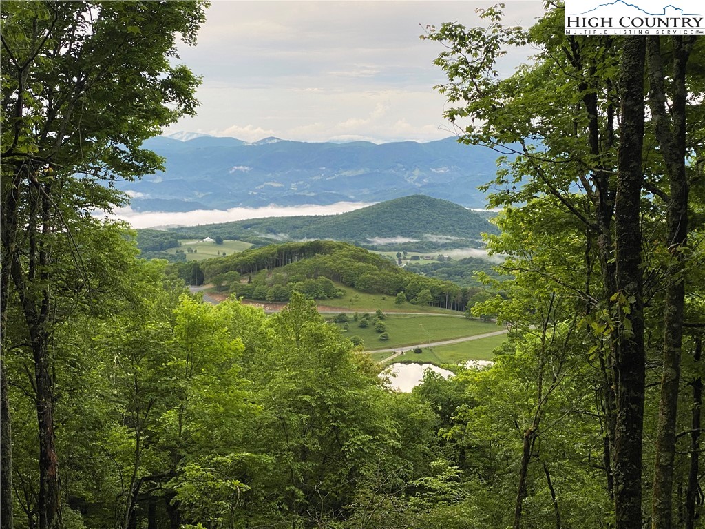 Lot 10 Chappell Farm Road Banner Elk, NC 28604 - Photo 1 of 14 Gallery Image 1