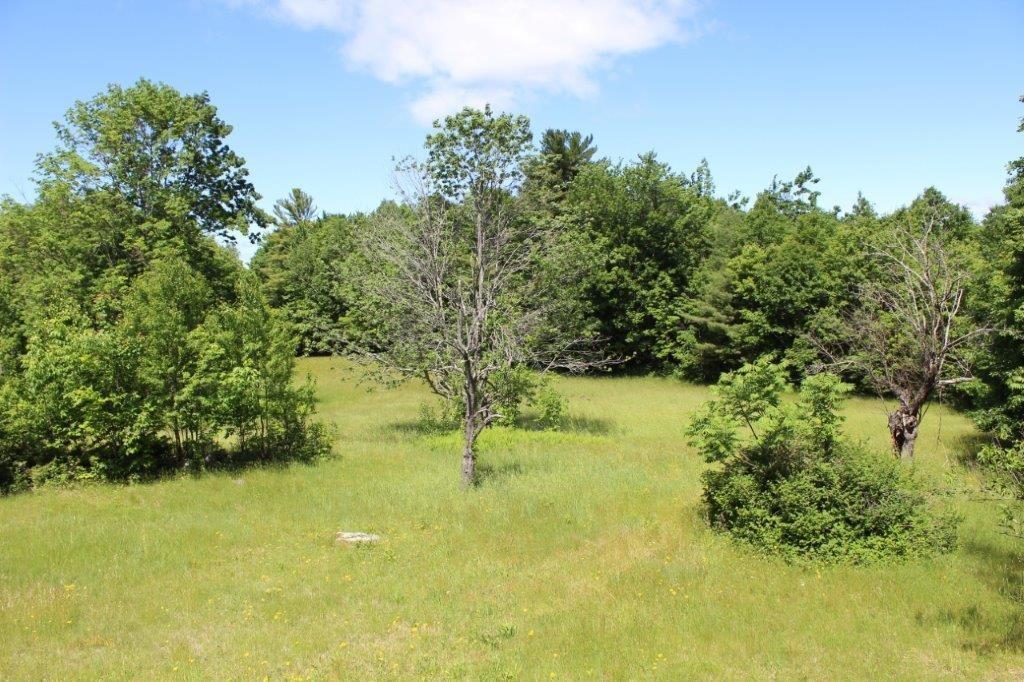 45 Libby Road Newfield, ME 04095 - Photo 31 of 35 Field