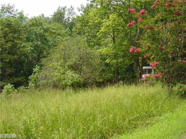 1160 Pebble Brook Road Sandy Ridge, NC 27046 - Photo 11 of 13 Exterior Front.