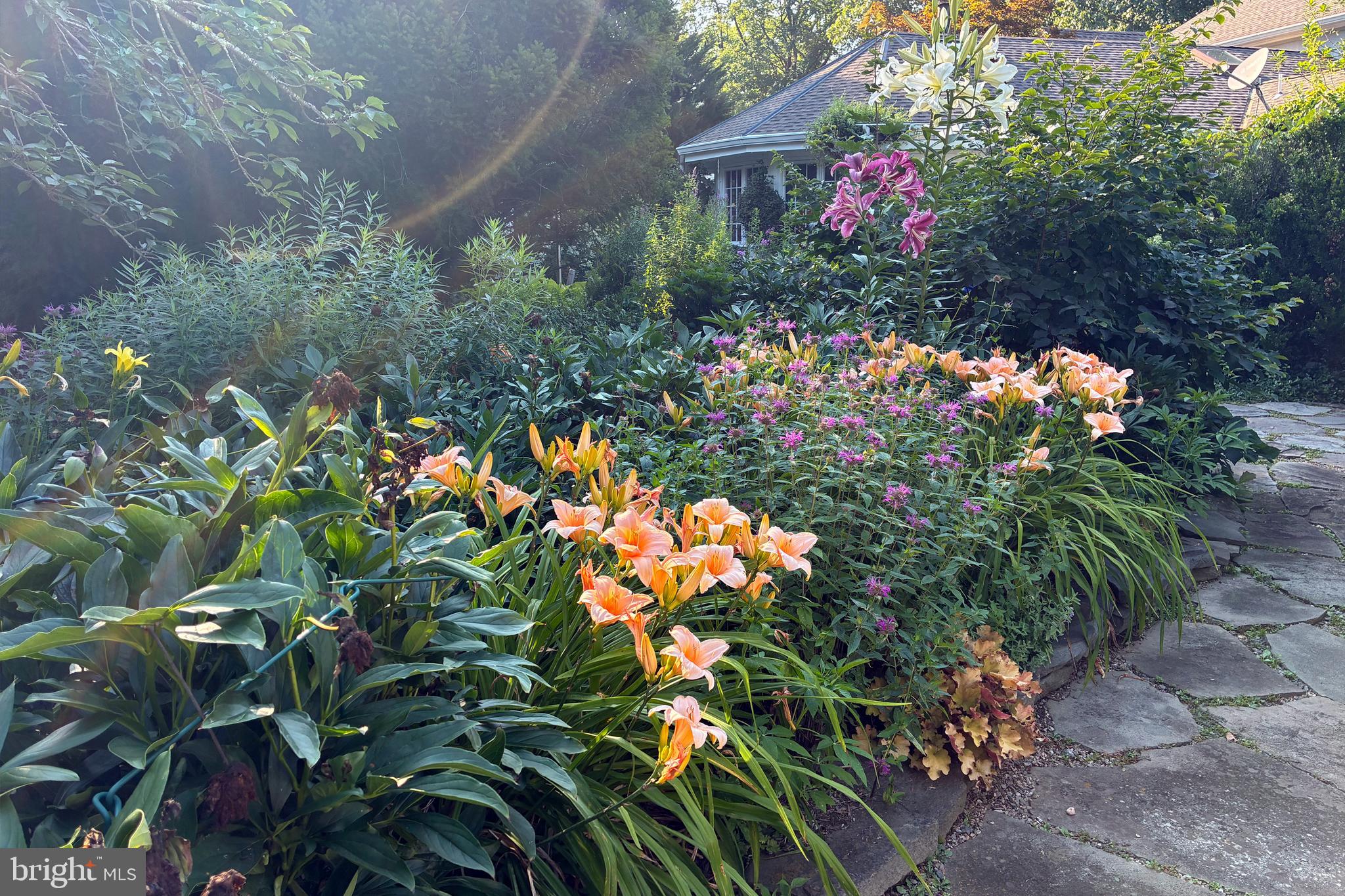 224 King George Road Pennington, NJ 08534 - Photo 48 of 58 Garden abloom!