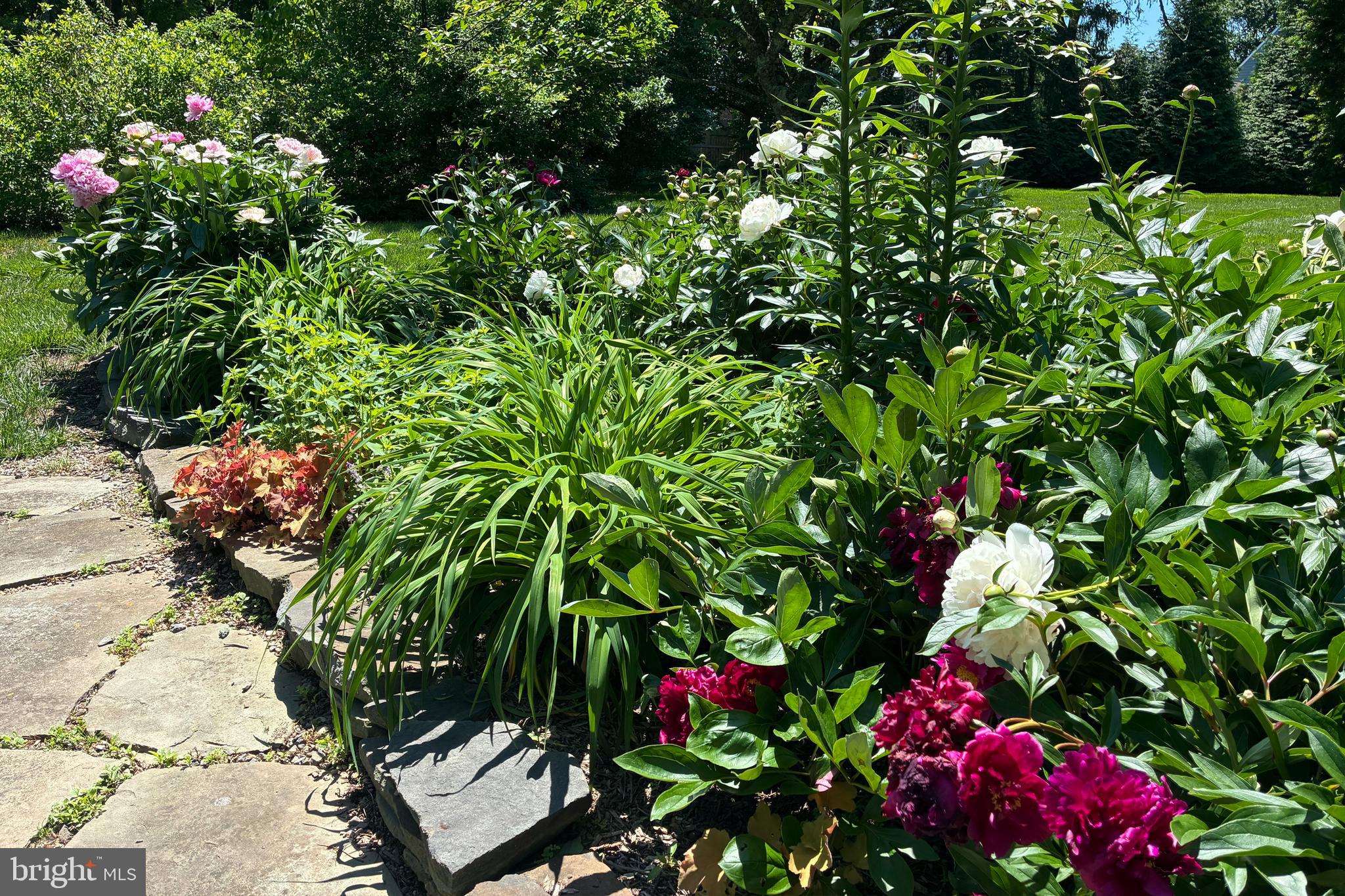 224 King George Road Pennington, NJ 08534 - Photo 49 of 58 Blooming garden
