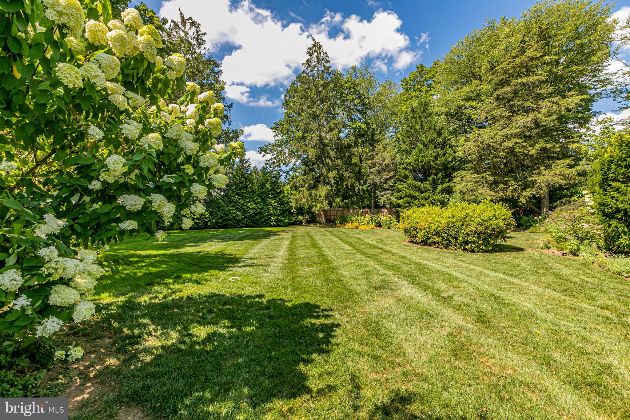 224 King George Road Pennington, NJ 08534 - Photo 51 of 58 a view of yard with green space