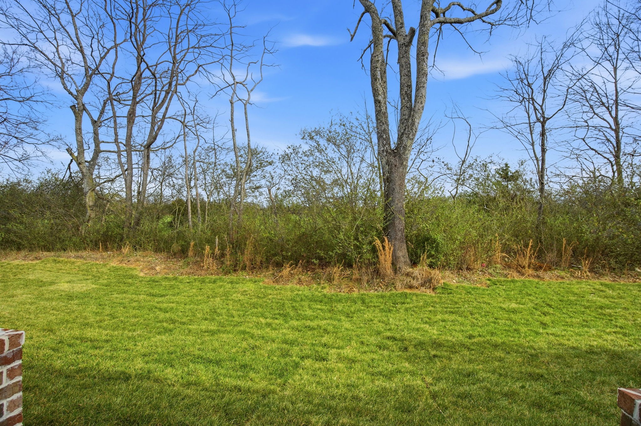 2145 Rylee Way, Unit 5 Greenbrier, TN 37073 - Photo 30 of 32 a view of outdoor space