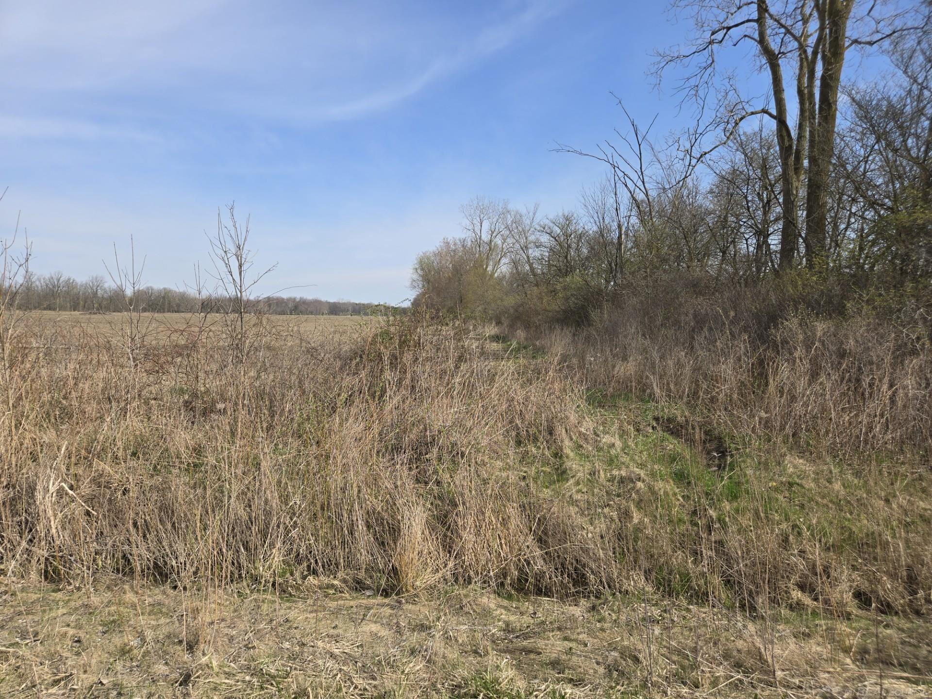 0 Weber (lot B) Road Columbus, MI 48063 - Photo 9 of 14