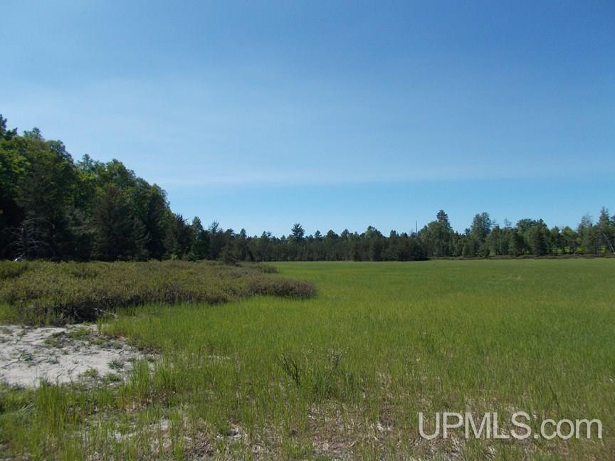 Tbd 155 Acres Off Reservoir Dam Road Seney, MI 49883 - Photo 5 of 23