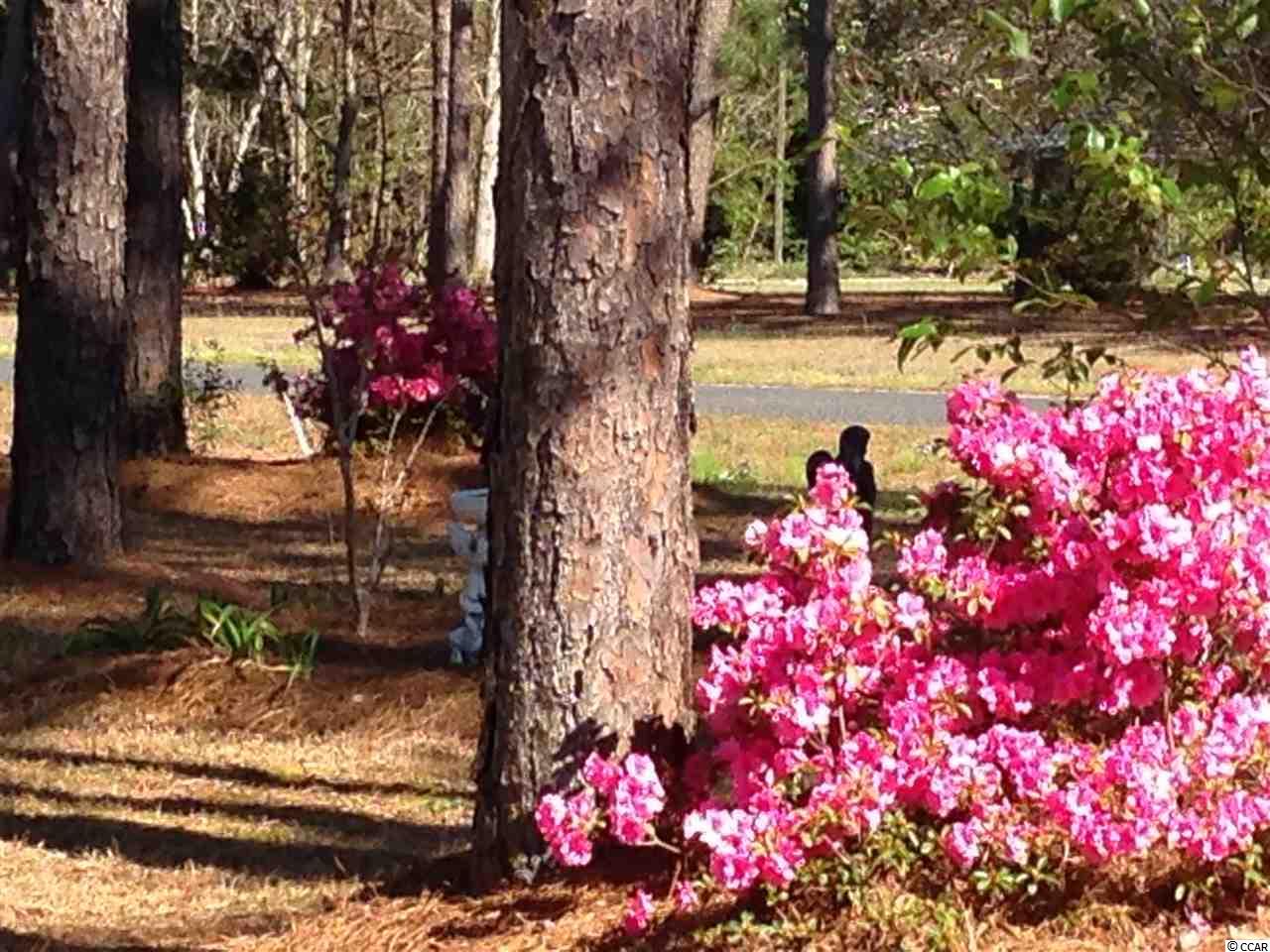 288 Goretown Loop Loris, SC 29569 - Photo 22 of 25