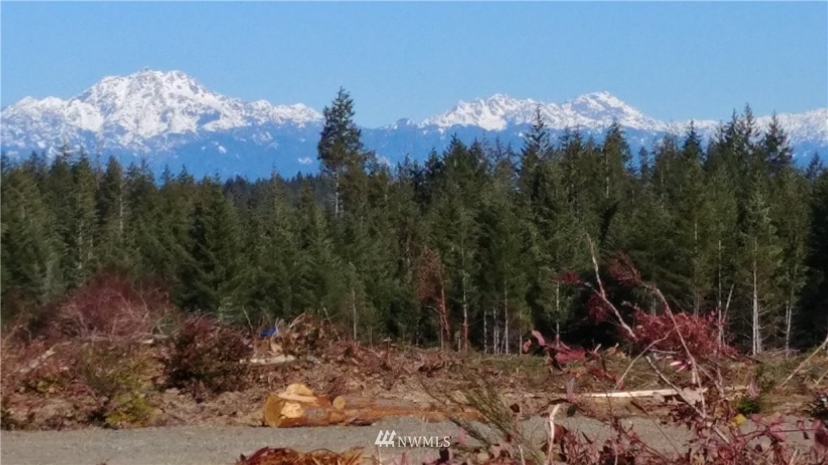 -lot1 Lot1 Benson Ridge Road Grapeview, WA 98546 - Photo 3 of 3 Gallery Image 3