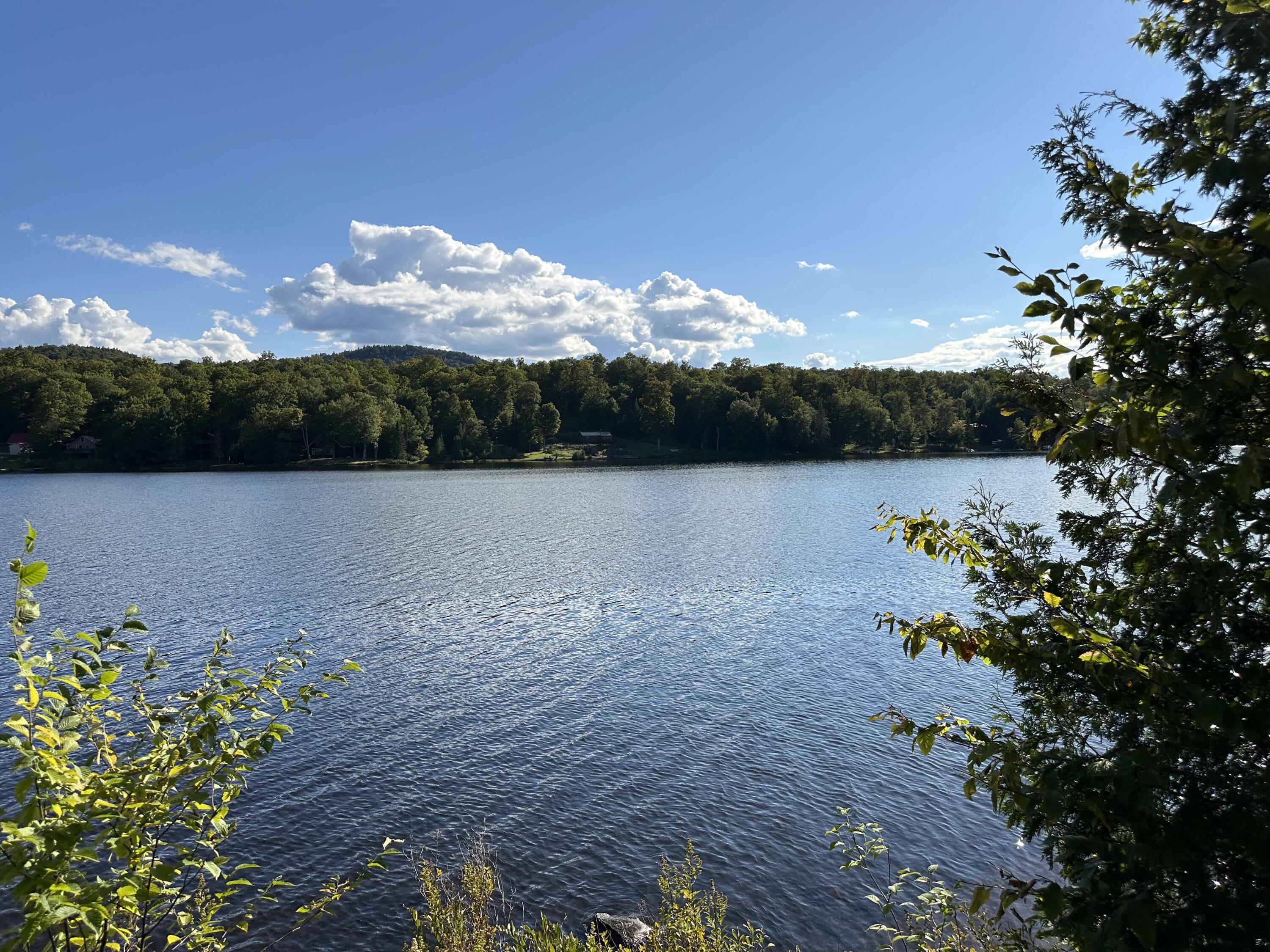 1028 Goodnow Flow Road Newcomb, NY 12852 - Photo 11 of 32 Gallery Image 11