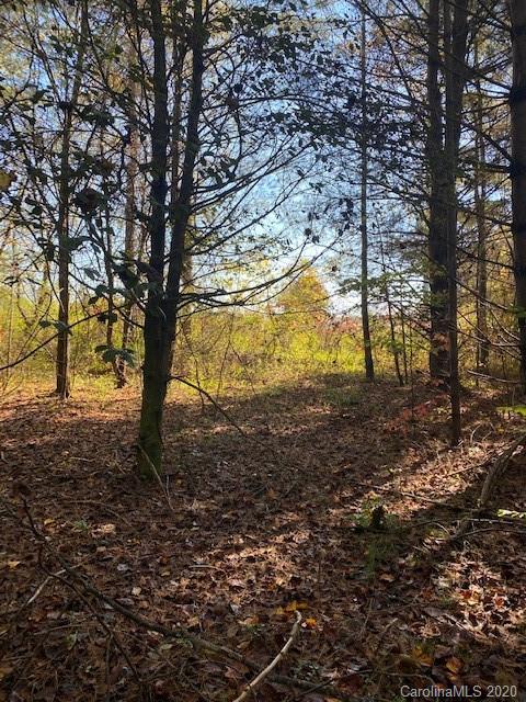 67 Clark Road Hendersonville, NC 28792 - Photo 1 of 8 a view of a yard with a tree