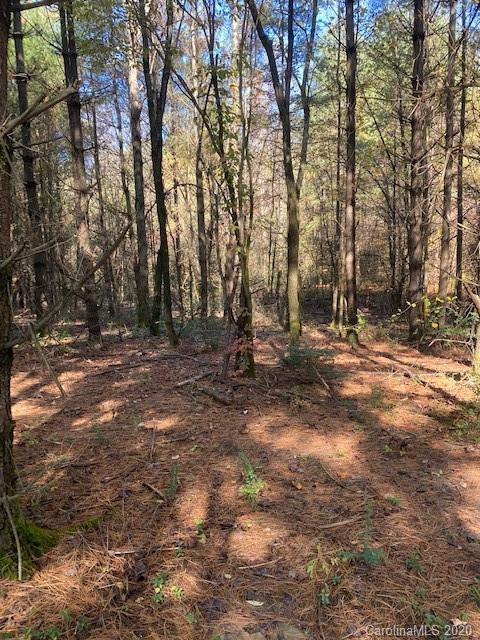 67 Clark Road Hendersonville, NC 28792 - Photo 2 of 8 a view of outdoor space with trees