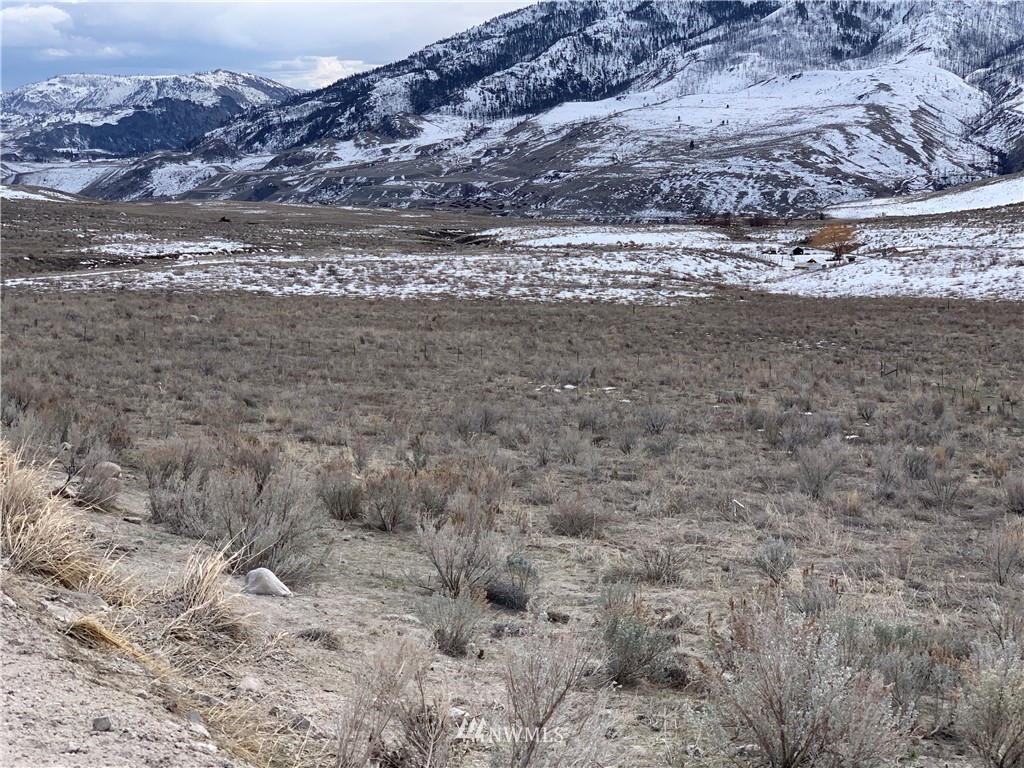 0 Bill Shaw Road Pateros, WA 98846 - Photo 12 of 19 a view of beach and mountain
