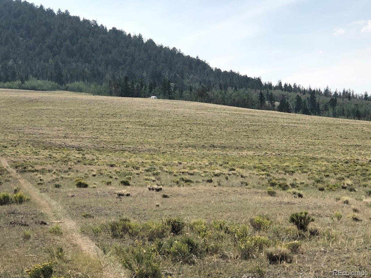 4507 Bar D Road Fairplay, CO 80440 - Photo 1 of 26 Gallery Image 1