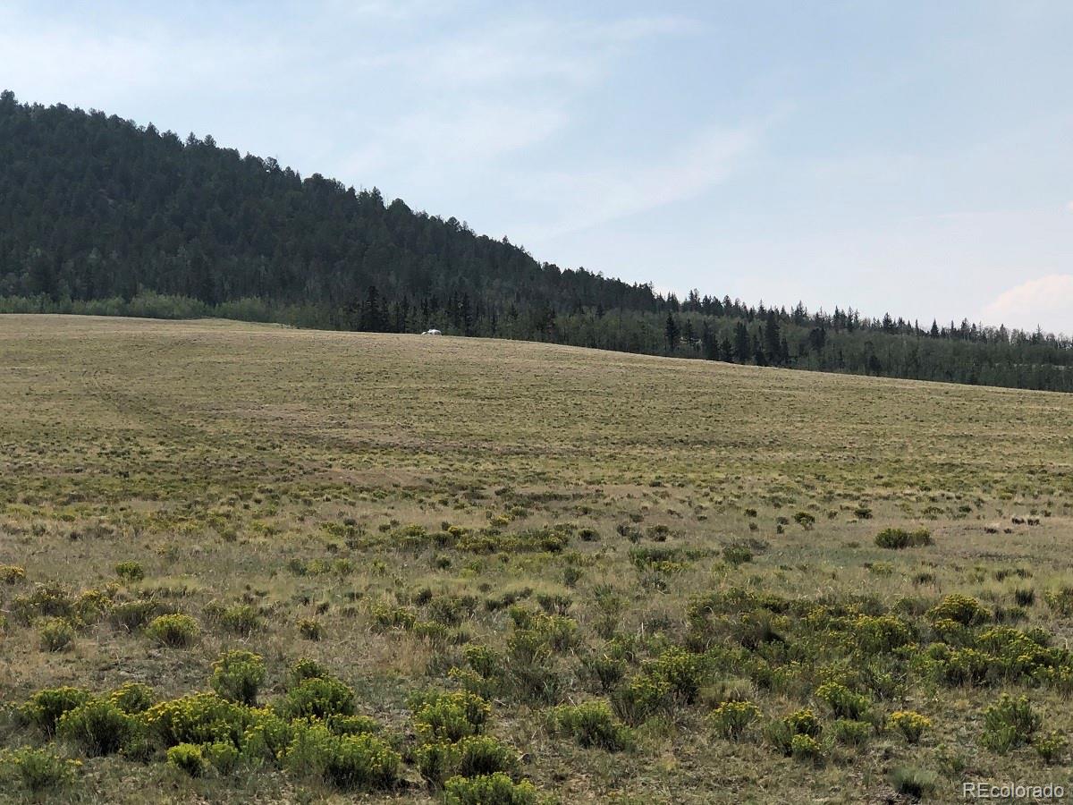 4507 Bar D Road Fairplay, CO 80440 - Photo 19 of 26 Gallery Image 19