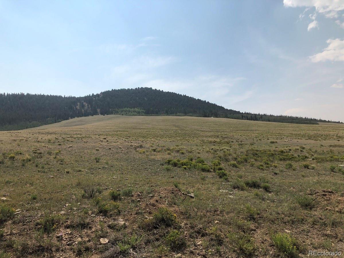 4507 Bar D Road Fairplay, CO 80440 - Photo 20 of 26 Gallery Image 20