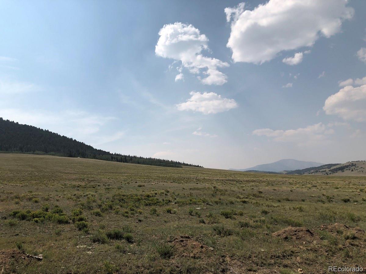 4507 Bar D Road Fairplay, CO 80440 - Photo 24 of 26 Gallery Image 24