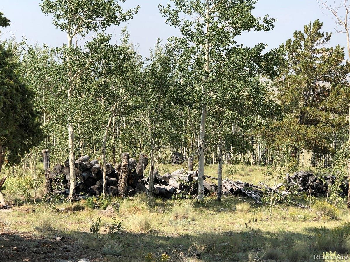 4507 Bar D Road Fairplay, CO 80440 - Photo 10 of 26 Gallery Image 10