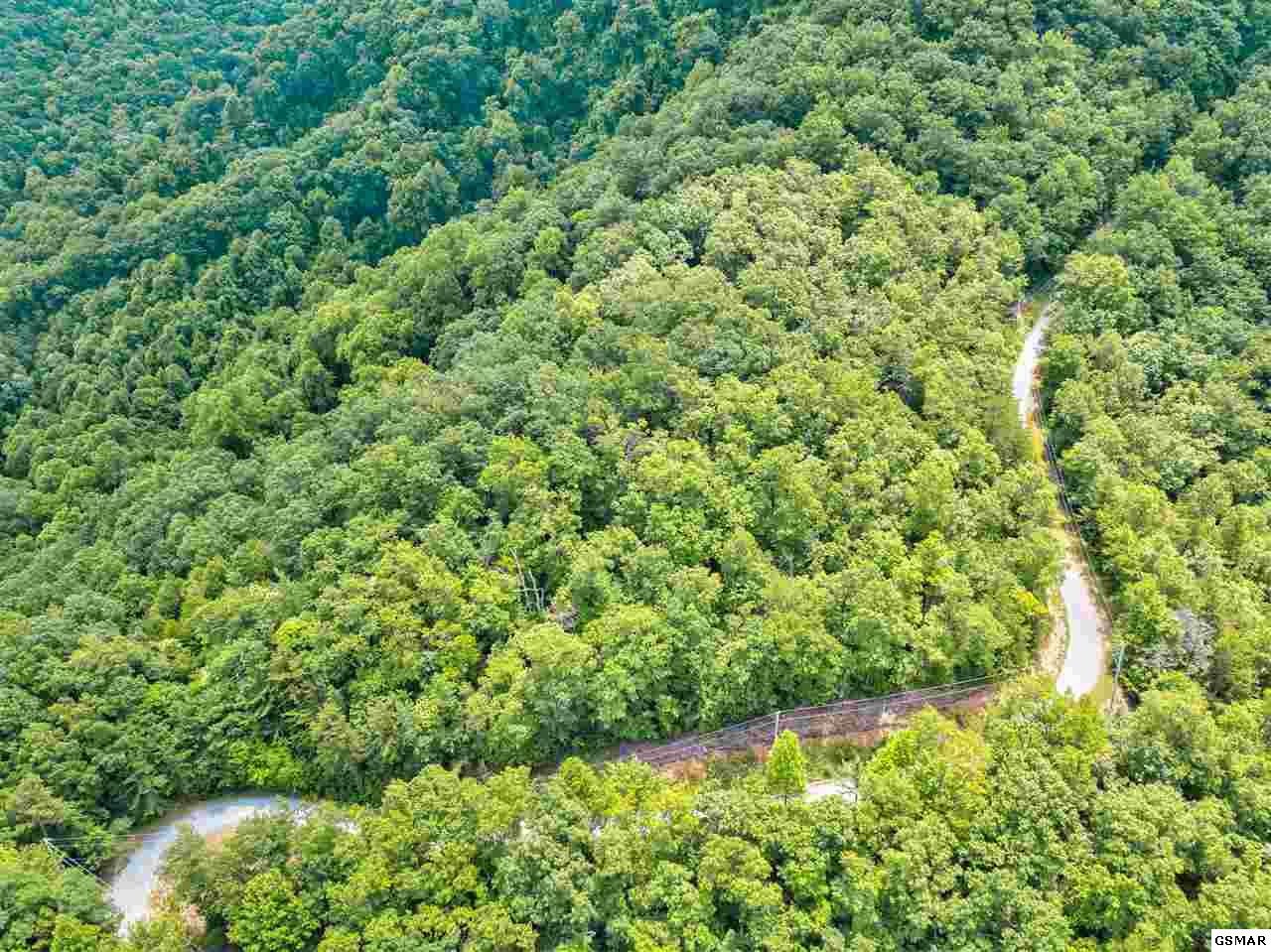 21 Cove Mountain Road Sevierville, TN 37862 - Photo 15 of 21 Gallery Image 15