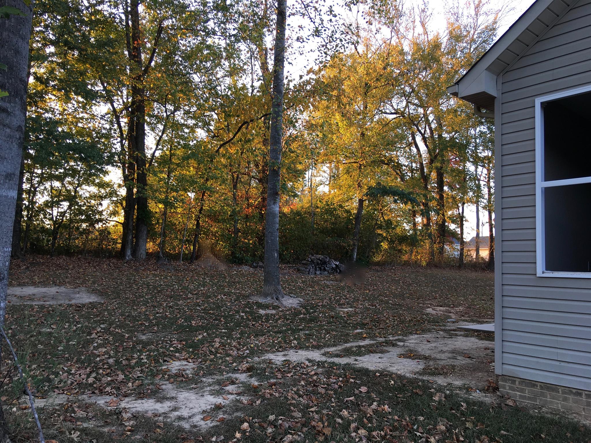 5 Timbers Edge Road Fayetteville, TN 37334 - Photo 18 of 19 View of back yard and view behind home