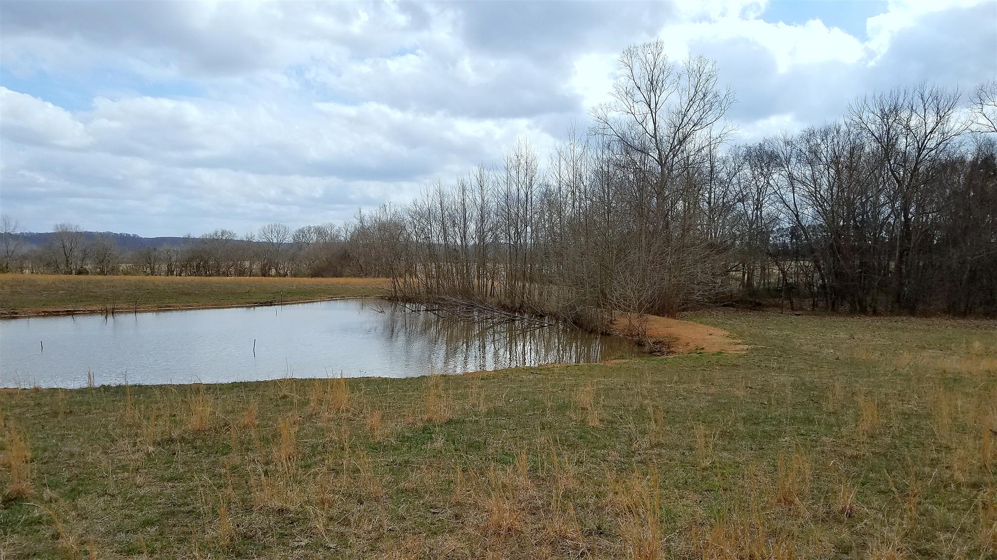 0 Pinewood Road West Nunnelly, TN 37137 - Photo 15 of 25 Gallery Image 15