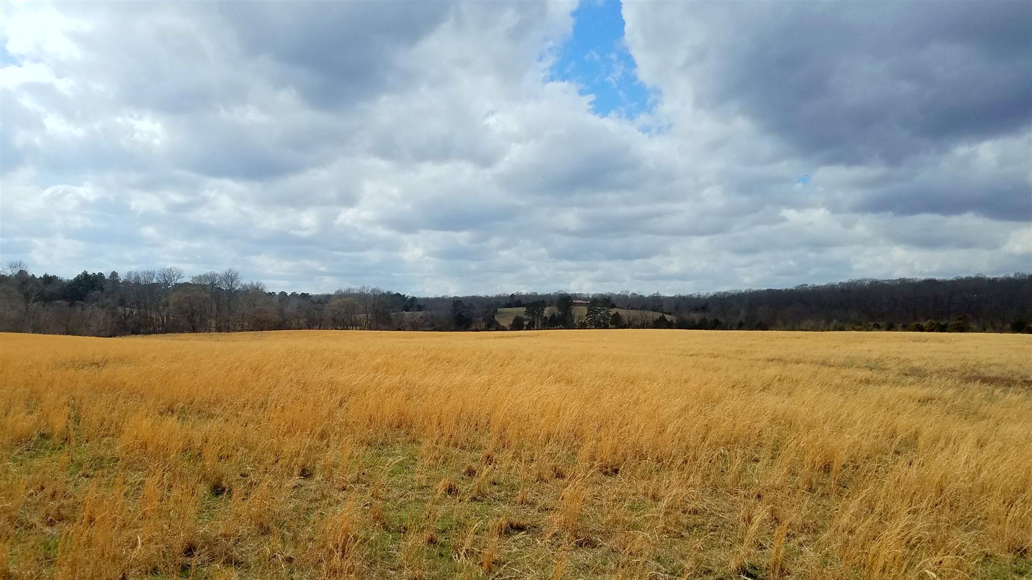 0 Pinewood Road West Nunnelly, TN 37137 - Photo 19 of 25 Gallery Image 19