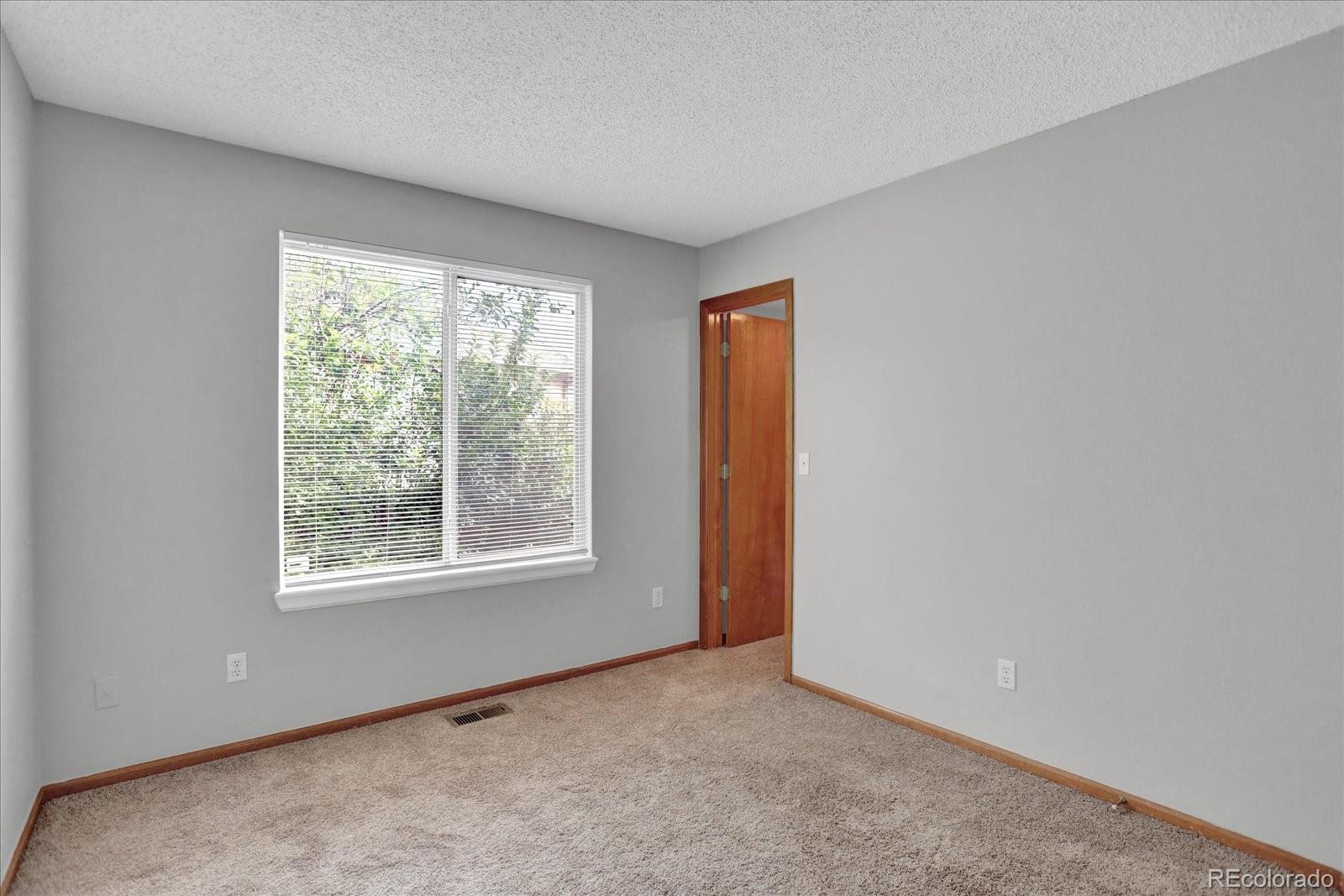 10116 Silver Maple Road Highlands Ranch, CO 80129 - Photo 17 of 31 Gallery Image 17