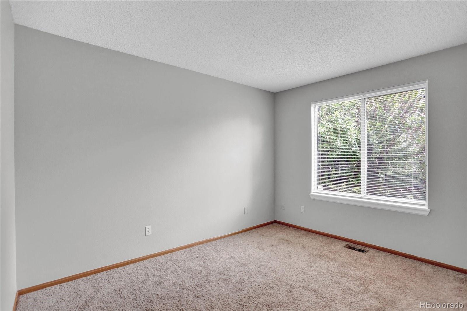 10116 Silver Maple Road Highlands Ranch, CO 80129 - Photo 18 of 31 Gallery Image 18