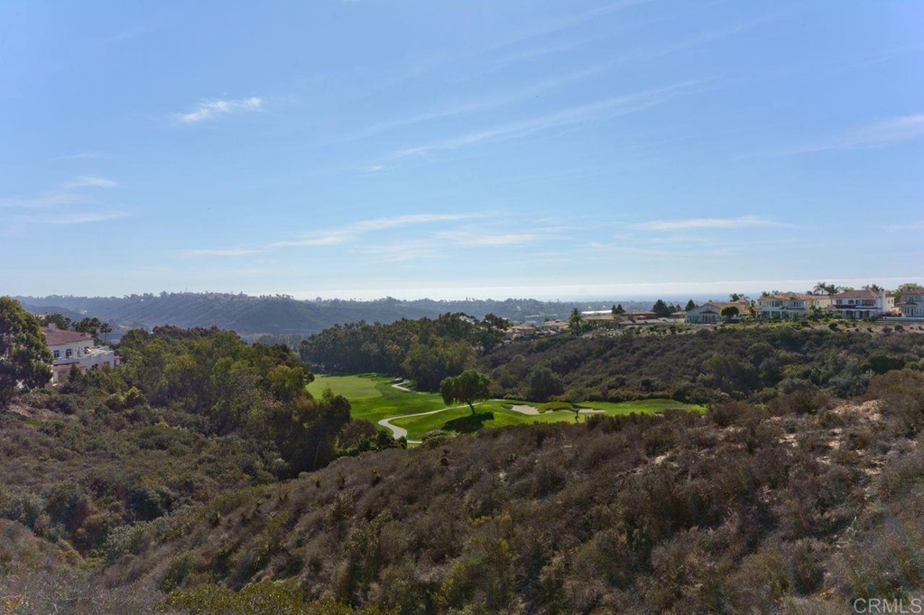 7025 Surfbird Circle Carlsbad, CA 92011 - Photo 34 of 36