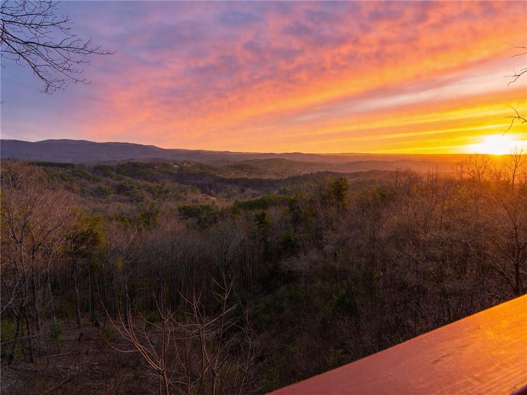 1015 Eagle Ridge Road Dawsonville, GA 30534 - Photo 44 of 64