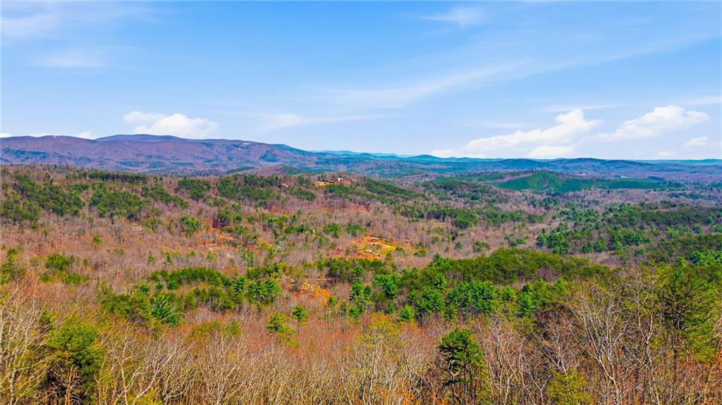 1015 Eagle Ridge Road Dawsonville, GA 30534 - Photo 52 of 64