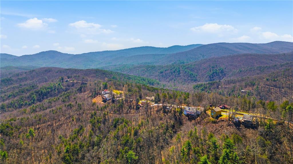 1015 Eagle Ridge Road Dawsonville, GA 30534 - Photo 54 of 64