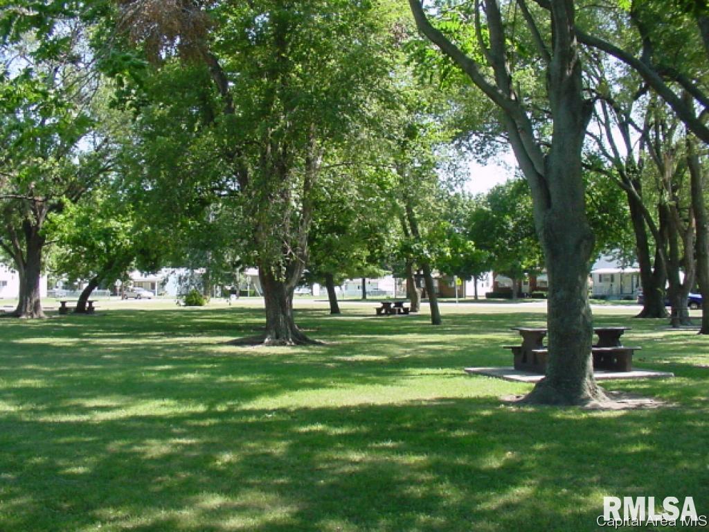 2018 North 17th Street Springfield, IL 62702 - Photo 28 of 28